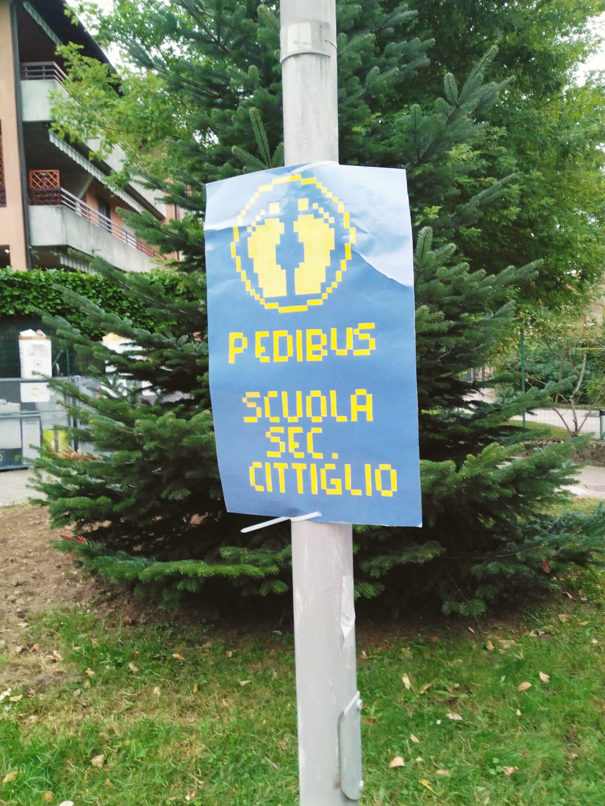 Cittiglio A Scuola Con Il Pedibus Nella Settimana Della Mobilit